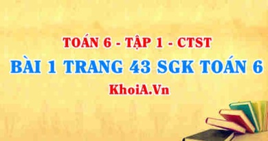 Bài 1 trang 43 SGK Toán 6 Tập 1 Chân trời sáng tạo